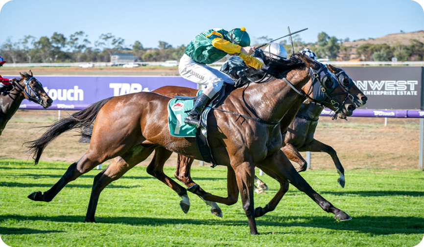 Horse racing photo 4